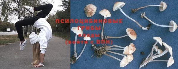 spice Пестово