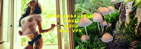 mdma Переславль-Залесский