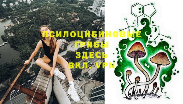 spice Пестово
